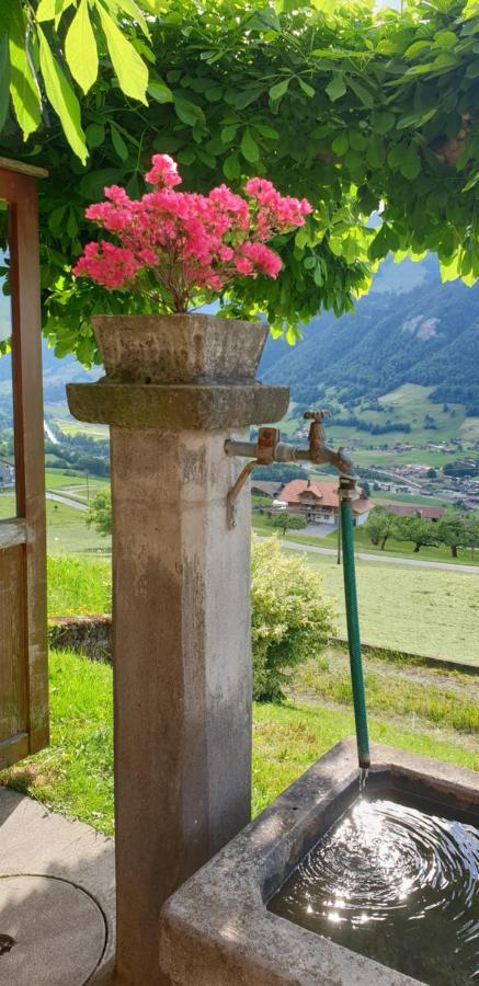 Gasthof Engelberg Scharnachtal Εξωτερικό φωτογραφία