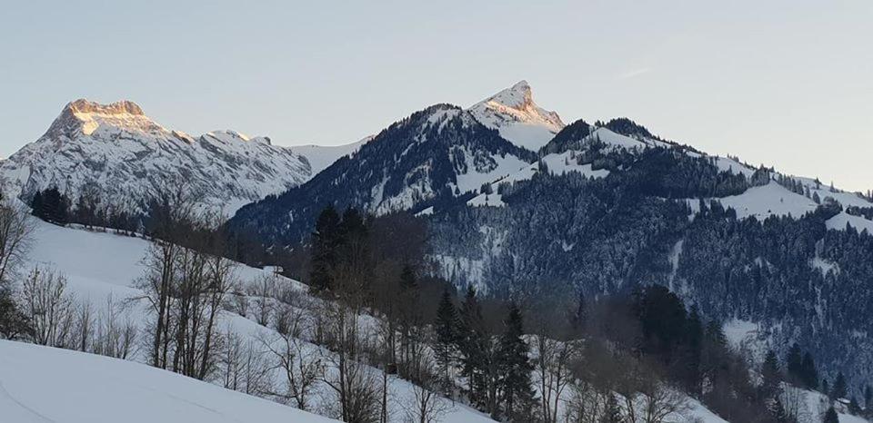 Gasthof Engelberg Scharnachtal Εξωτερικό φωτογραφία